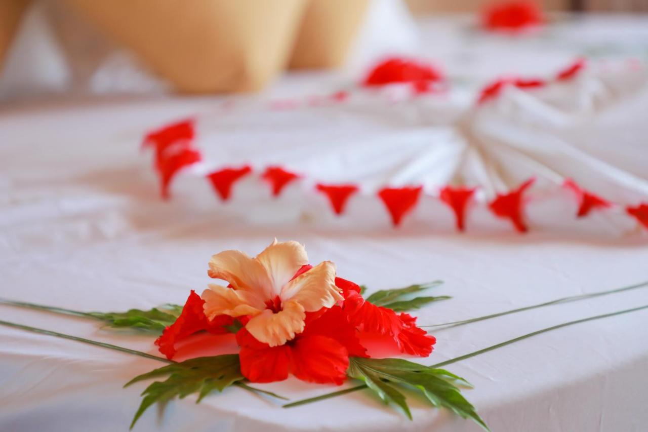بيت الضيافة أمازينغ فيو ثودو المظهر الخارجي الصورة
